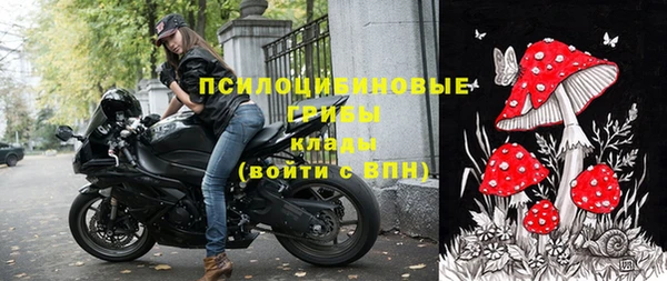 скорость Пересвет